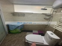 其它图